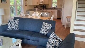 Smart TV, fireplace, DVD player, books