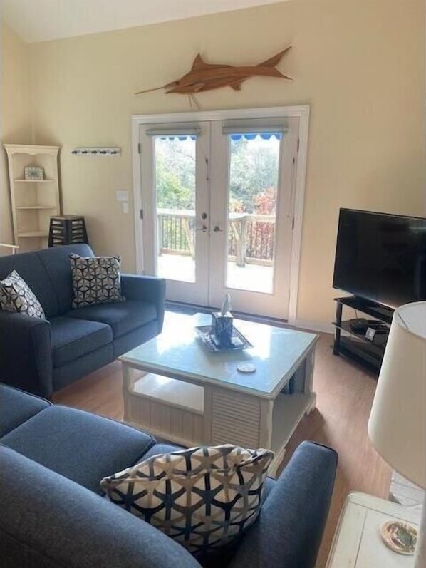 Smart TV, fireplace, DVD player, books