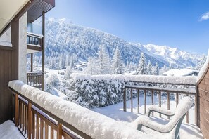 Property grounds - Résidence Grands Montets 502, Argentière (Chamonix), France (Argentière (Chamonix))