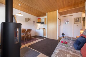 Flat-screen TV, fireplace - Résidence Igloo 3 ski in/ski out, Le Tour (Argentière), France (Le Tour (Argentière))