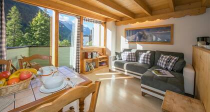 Résidence Grand Roc - Ancolies 206, ArgentiÚre (Chamonix), France