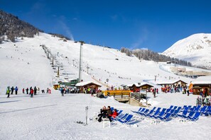 Sneeuw- en skisporten