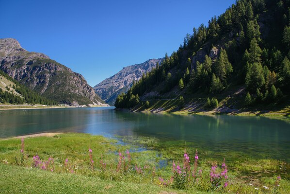 A serene lake surrounded by mountains and lush greenery. - Romantico, Livigno, Italy (Livigno)