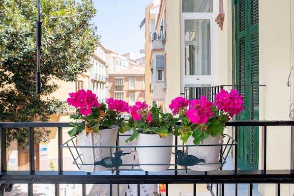 Property grounds - Historic center with terrace, close to La Malagueta beach (Málaga)