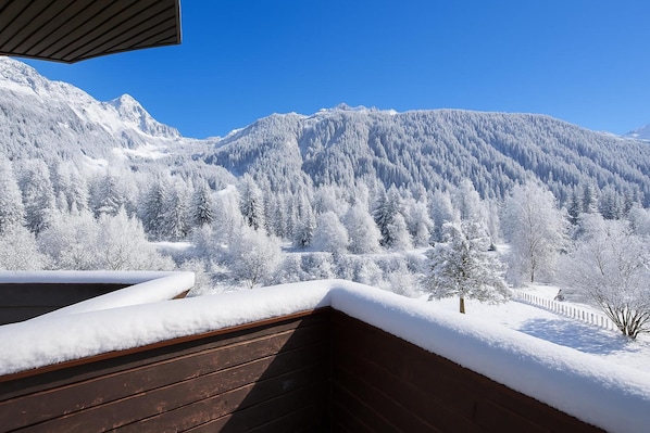 Property grounds - Résidence Grand Roc - Bruyères 112, Argentière (Chamonix), France (Argentière (Chamonix))