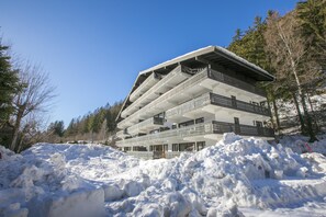 Exterior - Résidence Androsace 42, Argentière (Chamonix), France (Argentière (Chamonix))
