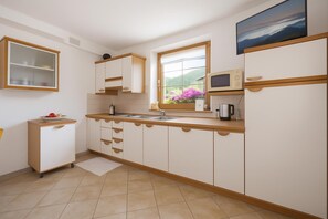 Kühlschrank, Mikrowelle, Herdplatte, Geschirrspüler