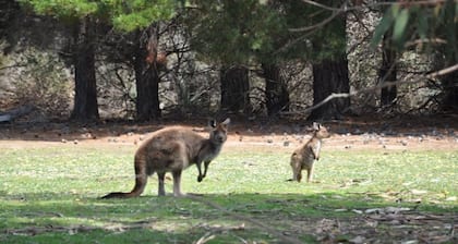 Discovery Parks - Kangaroo Island
