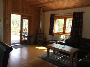تلفزيون، مدفأة