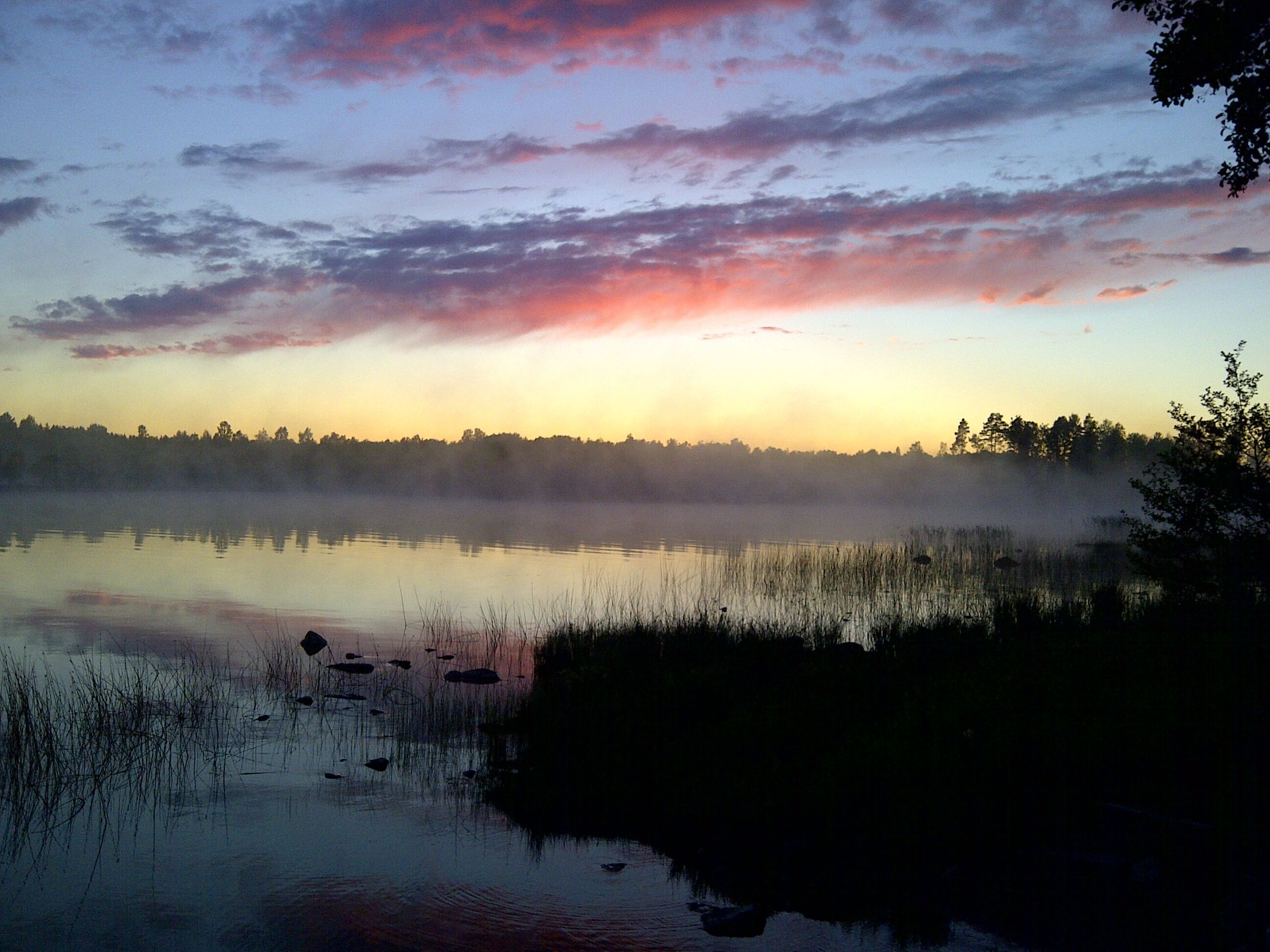 A calm lake at sunrise with a misty foreground and a forest in the background.