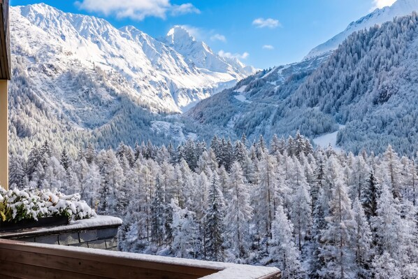 A mountain landscape with snow-covered trees and a clear sky.