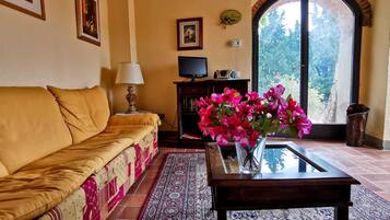 TV, livros, biblioteca musical, aparelho de som