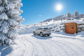 Property grounds - Orchidea, Livigno, Italy (Livigno)