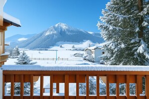 Property grounds - Orchidea, Livigno, Italy (Livigno)