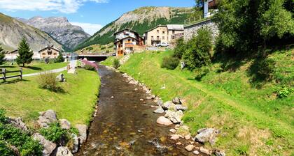 Azalea, Livigno, Italie