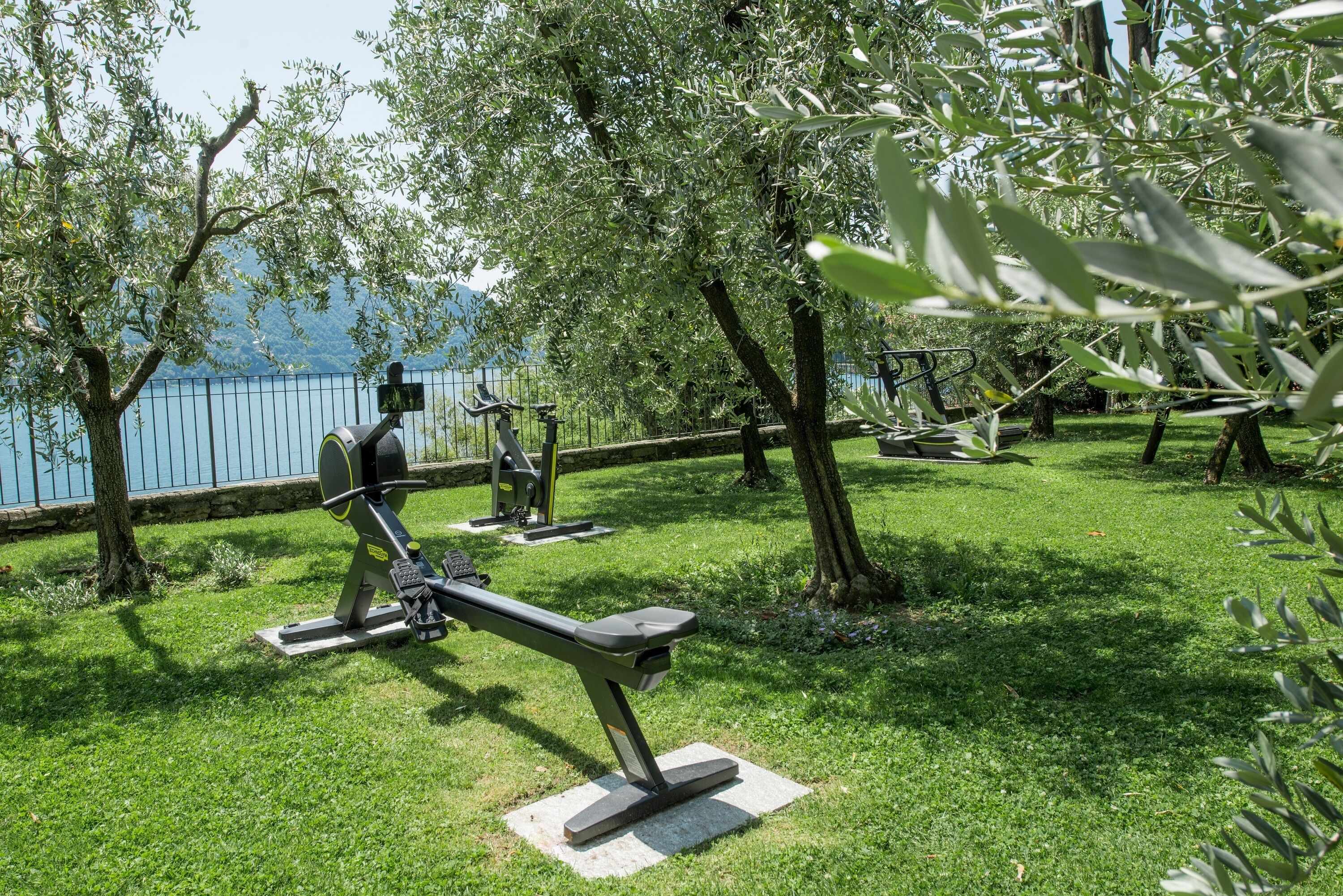 Outdoor exercise equipment in a park with a lake view.