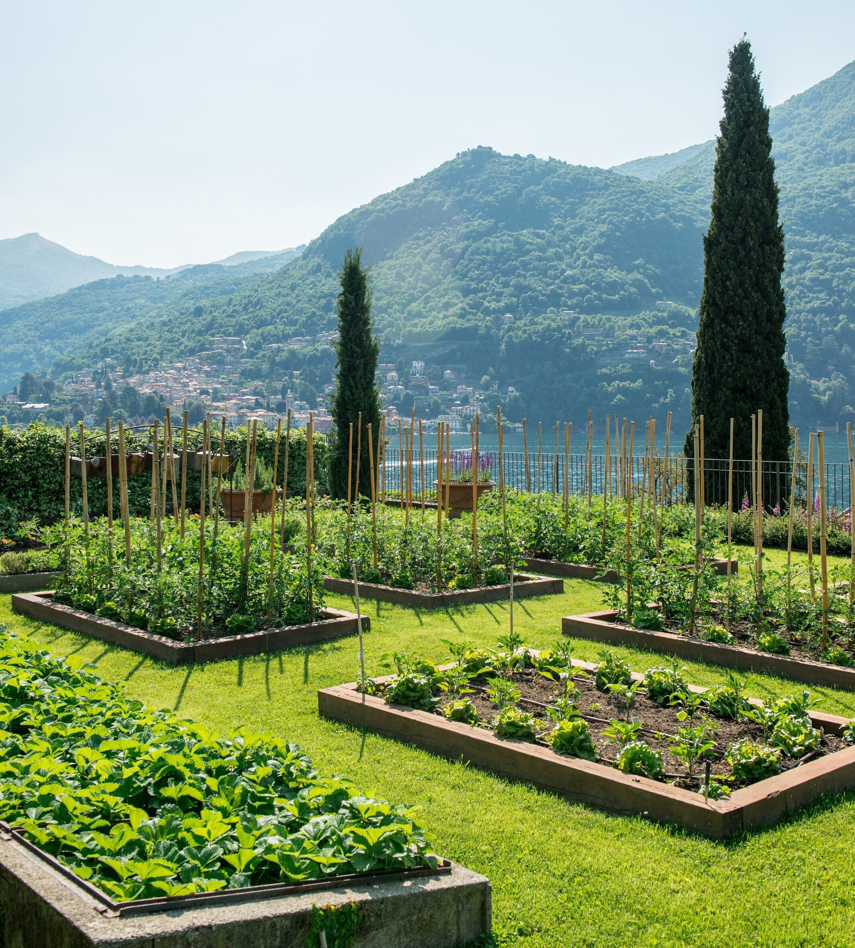 A garden with raised beds and a view of a town and mountains in the background.