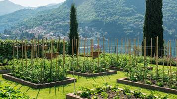 A garden with raised beds and a view of a town and mountains in the background.
