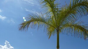 Pool - Incredible villa in urbanization with heated pool (Adeje)