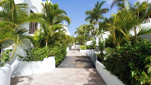 A pathway flanked by white walls and lush greenery, leading to a building with a dome. - Incredible villa in urbanization with heated pool (Adeje)