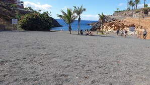 A beach with rocky terrain, palm trees, and a clear blue sky. - Incredible villa in urbanization with heated pool (Adeje)