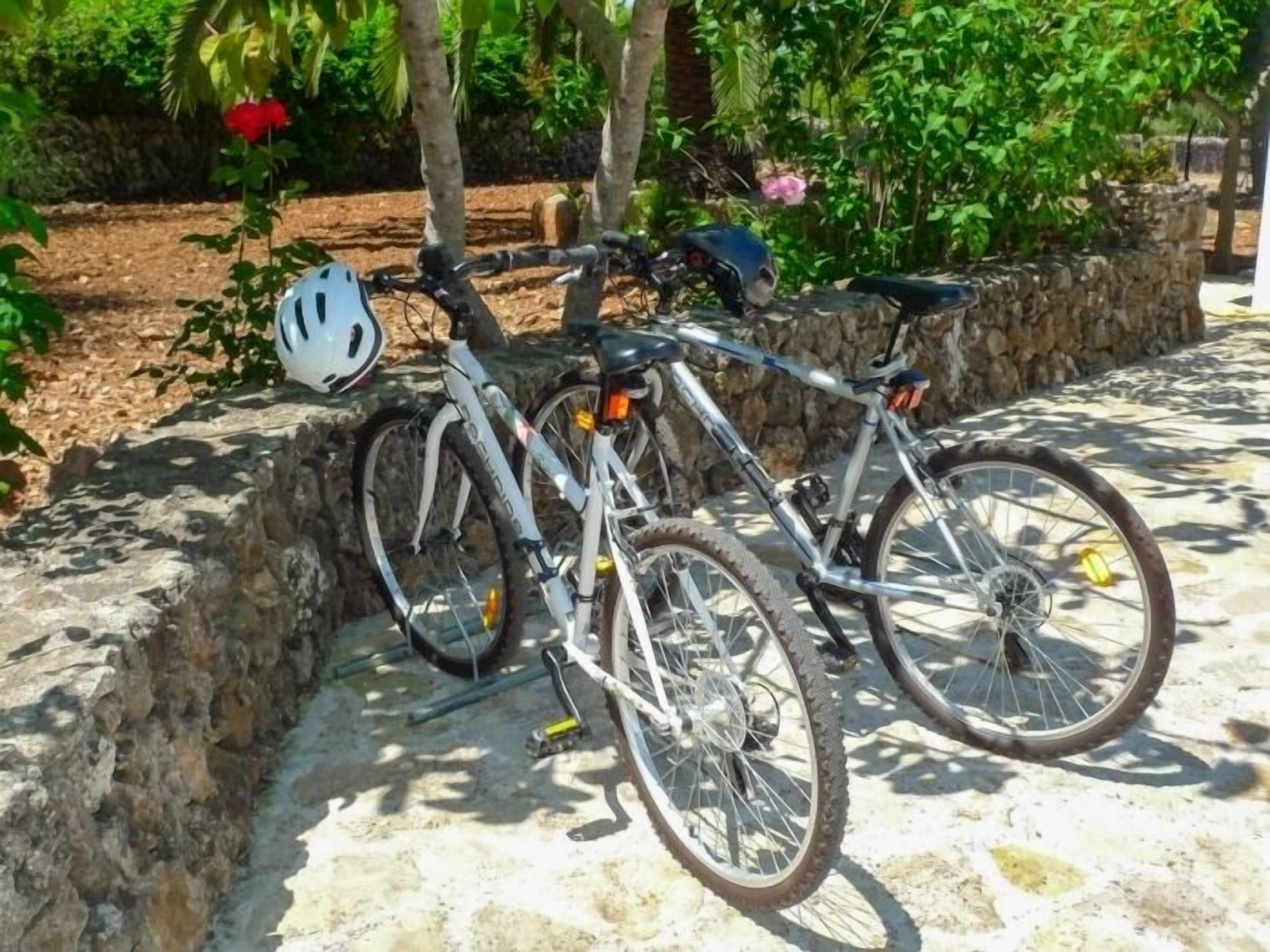 Two bicycles parked on a stone surface with a garden in the background.