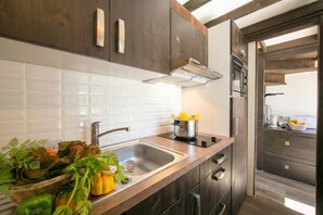 Fridge, microwave, stovetop, dishwasher