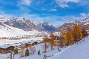 Miscellaneous - Cervo Ski in - Ski out 200m, Livigno, Italy (Livigno)