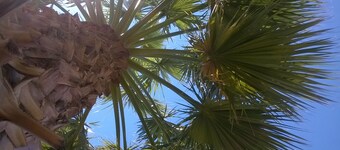 Luxury apartment for 5 persons