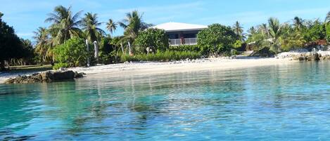 Deluxe Studio (2 separate rooms) | Beach/ocean view