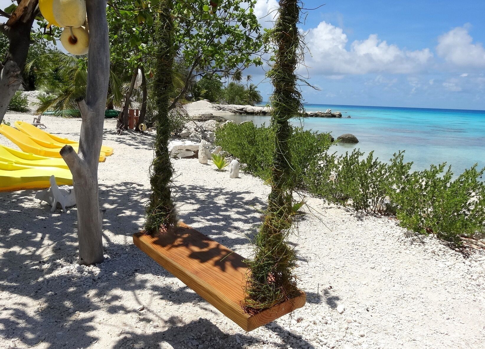 A wooden swing suspended over a sandy beach with a clear view of the ocean.