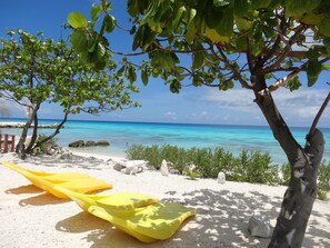 Private beach, sun-loungers, kayaking - Rangiroa Tiputa Lodge B&B (Rangiroa)
