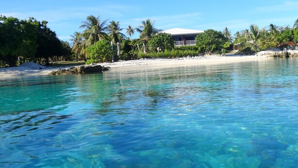 A clear view of a beach with turquoise water, palm trees, and a building with a white roof in the background. - Rangiroa Tiputa Lodge B&B (Rangiroa)