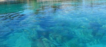 Rangiroa Tiputa Lodge B&B