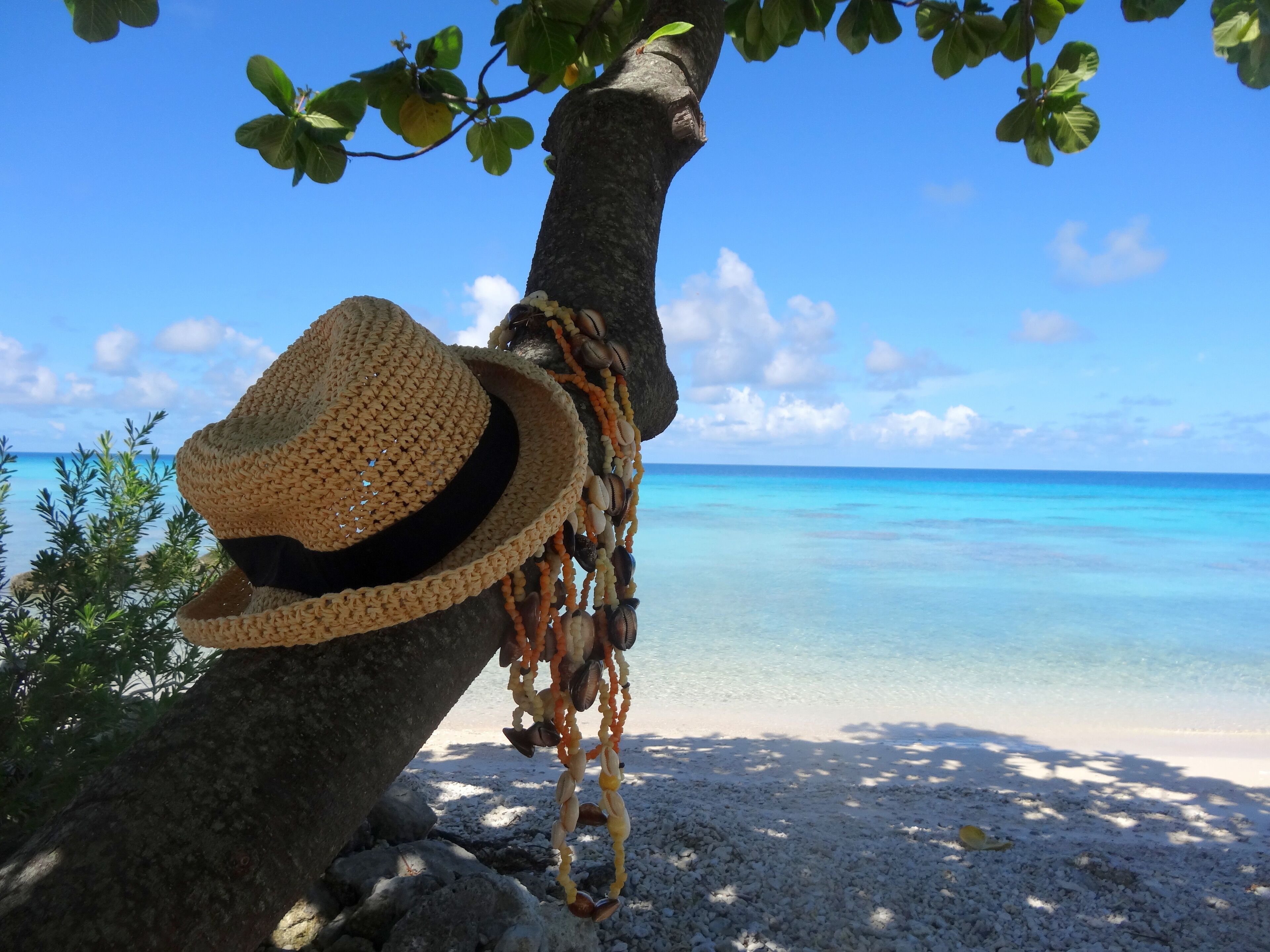 A beach scene with a straw hat hanging on a tree branch and a string of seashells.