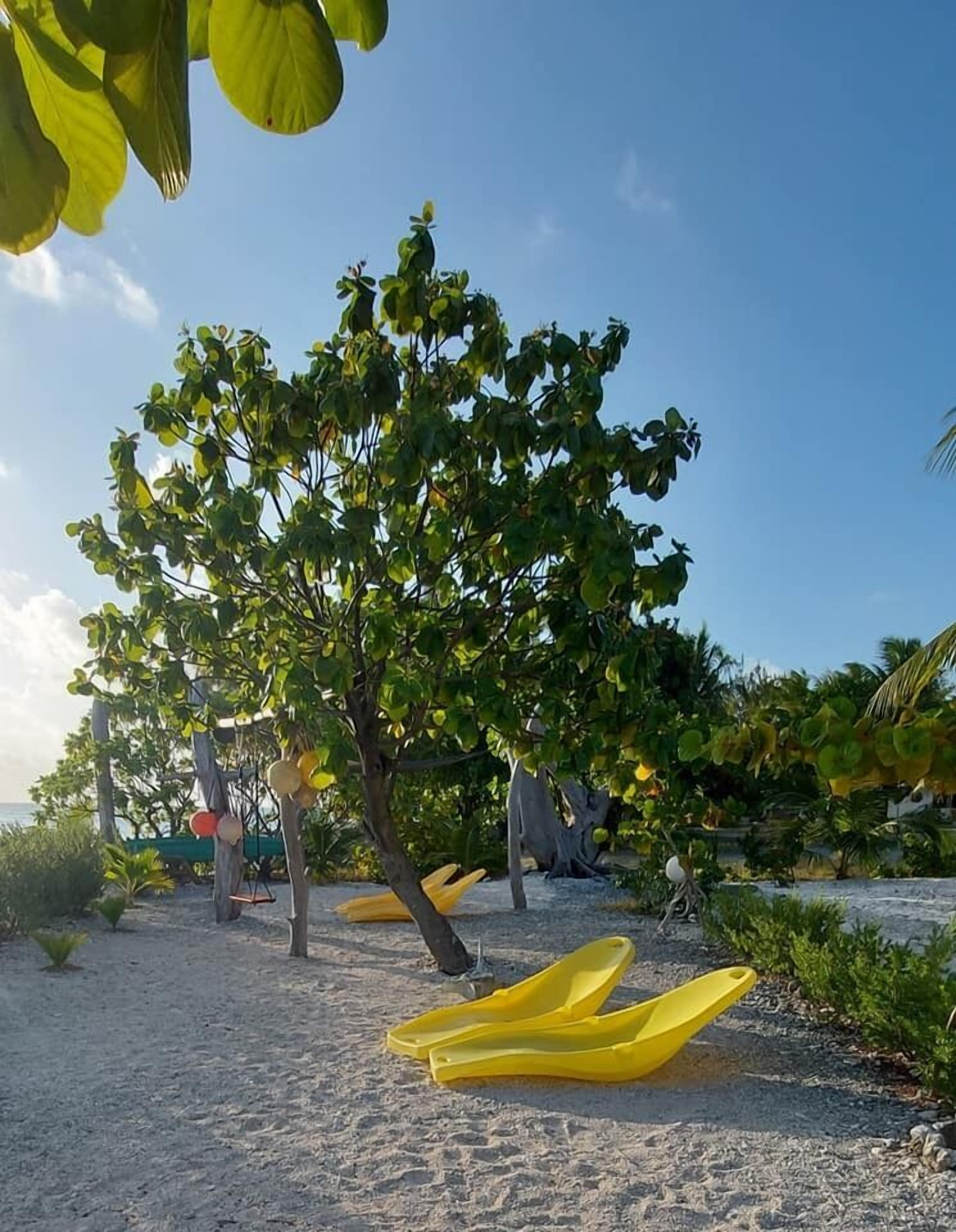 Apartamento luxo, várias camas, de frente para a praia | Vista para o jardim