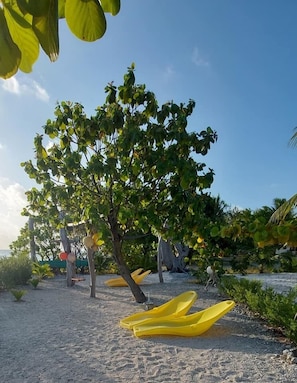 Appartement Deluxe, Plusieurs lits, en face de la plage | Vue sur le jardin