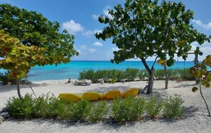 A beach with trees, a sandy area, and a clear blue sea. - Rangiroa Tiputa Lodge B&B (Rangiroa)