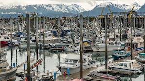 A marina with boats docked, surrounded by mountains.
