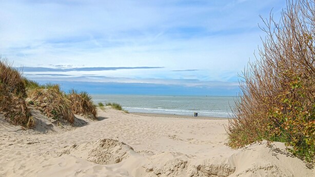 Une plage de sable offrant une vue dégagée sur l’océan, où quelques personnes se promènent.