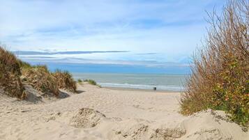 Beach nearby, fishing