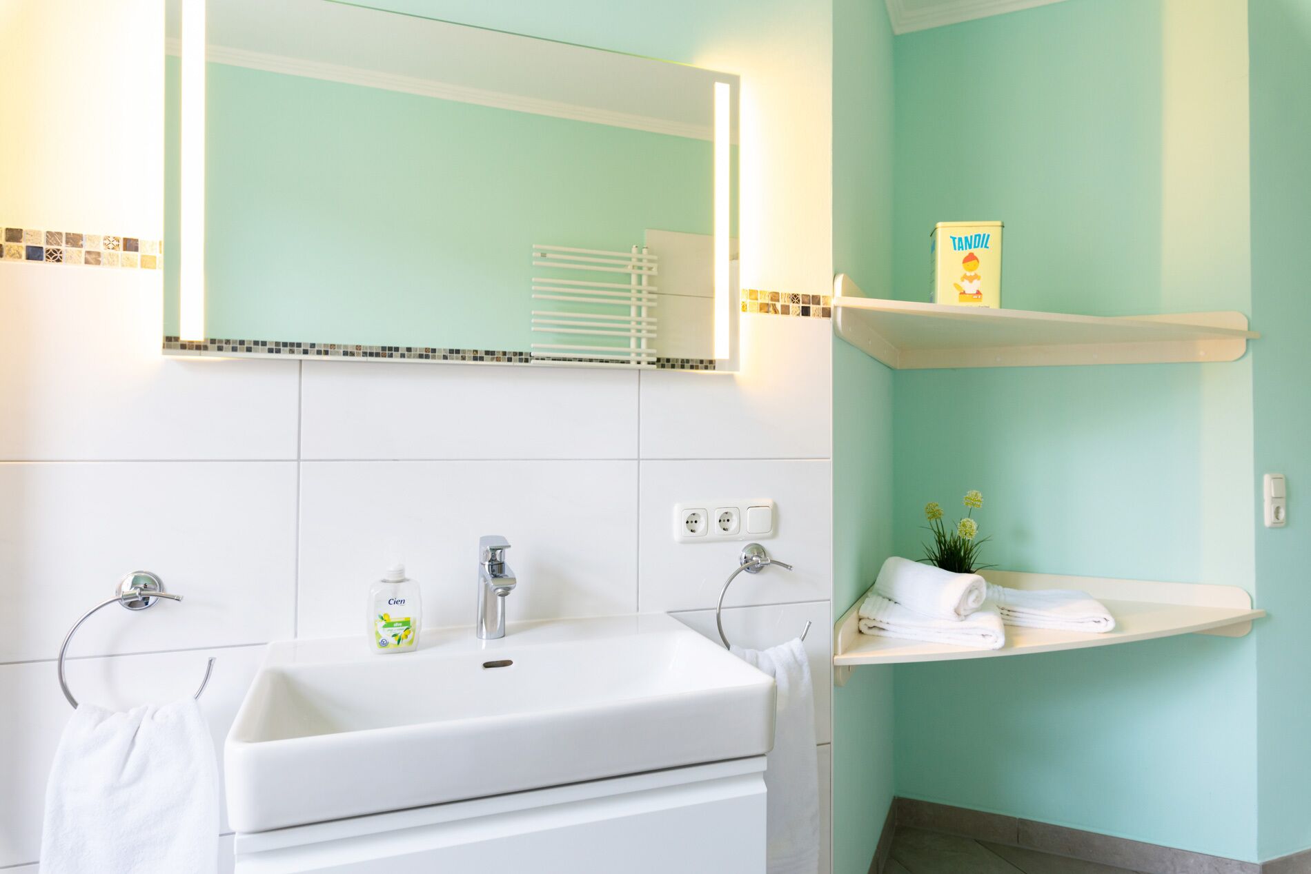 Une salle de bain avec un lavabo blanc, un miroir et un porte-serviettes. On y trouve deux étagères avec des articles de toilette et une plante.