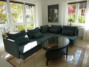 TV, DVD player, books, video library