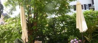 Zwischen Marktplatz und Wald - ideal für Fußgänger