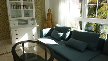 TV, DVD player, books, video library