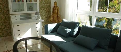 TV, DVD player, books, video library