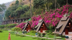 A row of wooden cabins with pitched roofs, surrounded by lush greenery and vibrant pink flowers. - Suansaiyok Resort (Sai Yok)