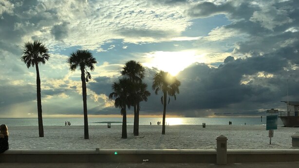 Une plage bordée de palmiers, avec un coucher de soleil.