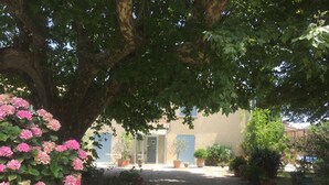 A courtyard with a gravel path, potted plants, and a tree providing shade. - Provençal farmhouse in the countryside, with air conditioning and a pool, near Avignon (Monteux)