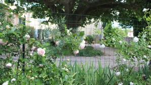 A garden with a variety of plants and flowers, including roses, enclosed by a wire fence. - Provençal farmhouse in the countryside, with air conditioning and a pool, near Avignon (Monteux)